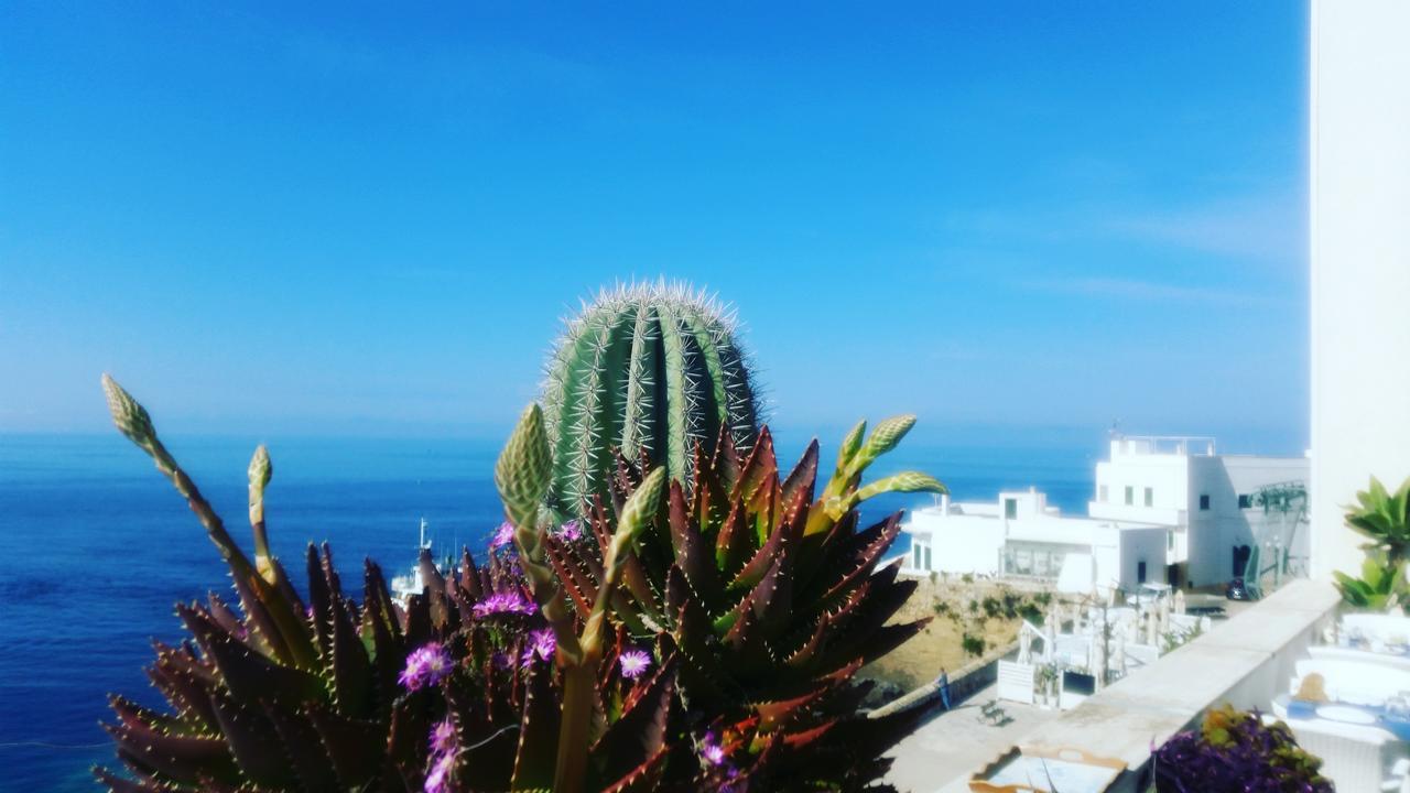 B&B Punta Cutieri Gallipoli Eksteriør billede